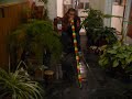 gonzo didgeridoo pvc trelew chubut argentina