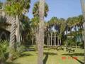 Atalaya Castle