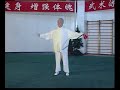 Yang Zhenduo - Forma de espada de 67 movimientos