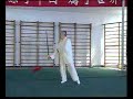 Yang Zhenduo - Forma de espada de 67 movimientos