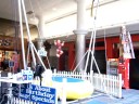 ZeroGravity, LLC Bungee Jumping
