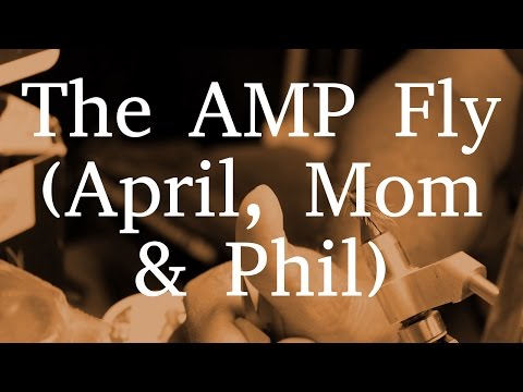 The AMP Fly | Collared Streamer The AMP Fly | Collared Streamer