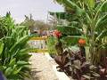 Hargeisa my HomeTown