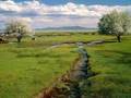 NATURALEZA