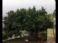 Tropical Storm Omar above Cura�ao