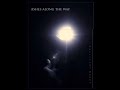 SPIRITUAL ASHES - hallucinations