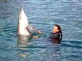 Linda swimming with dolphins at Seaworld