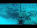 Hawaii Dive - Koko Craters
