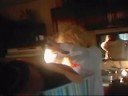kimmie and jimmie how 2 make a proper turkey kimmie and jimmie how 2 make a proper turkey