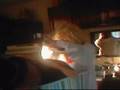 kimmie and jimmie how 2 make a proper turkey