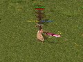 Arissa singing Macarena.