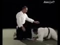 Aikido clip vol 2 - Made By Aluk@rD - The Immortal Aikido clip vol 2 - Made By Aluk@rD - The Immortal