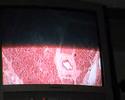 Histologia Pancreas