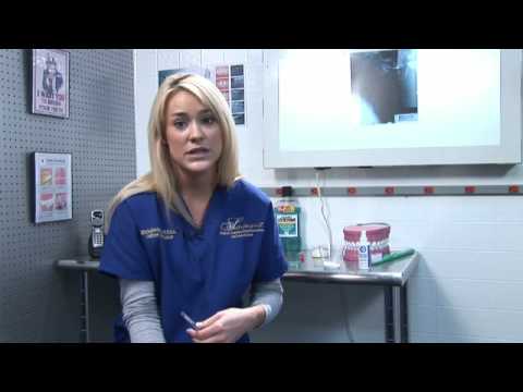 how to relieve tooth zingers