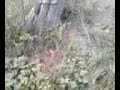 XR100 jumps 4