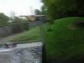HPI-savage-jumps-Ska