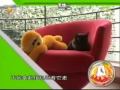 《爱宠笑园》（2009-08-24） - part 2