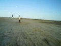 Kitebuggy Rasa 1