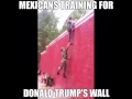 mexican jumping the border jokes and riddles mexican jumping the border jokes and riddles