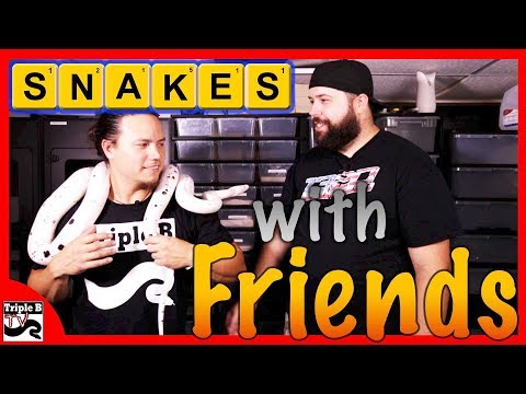 YouTube reptile video