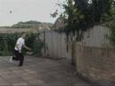 Garden tricks