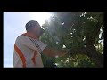 Vino, cultura y alta cocina se alían en el Valle del Duero