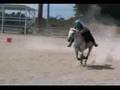Mounted Games Across America - Carton