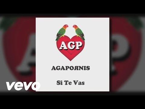 Si Te Vas Agapornis