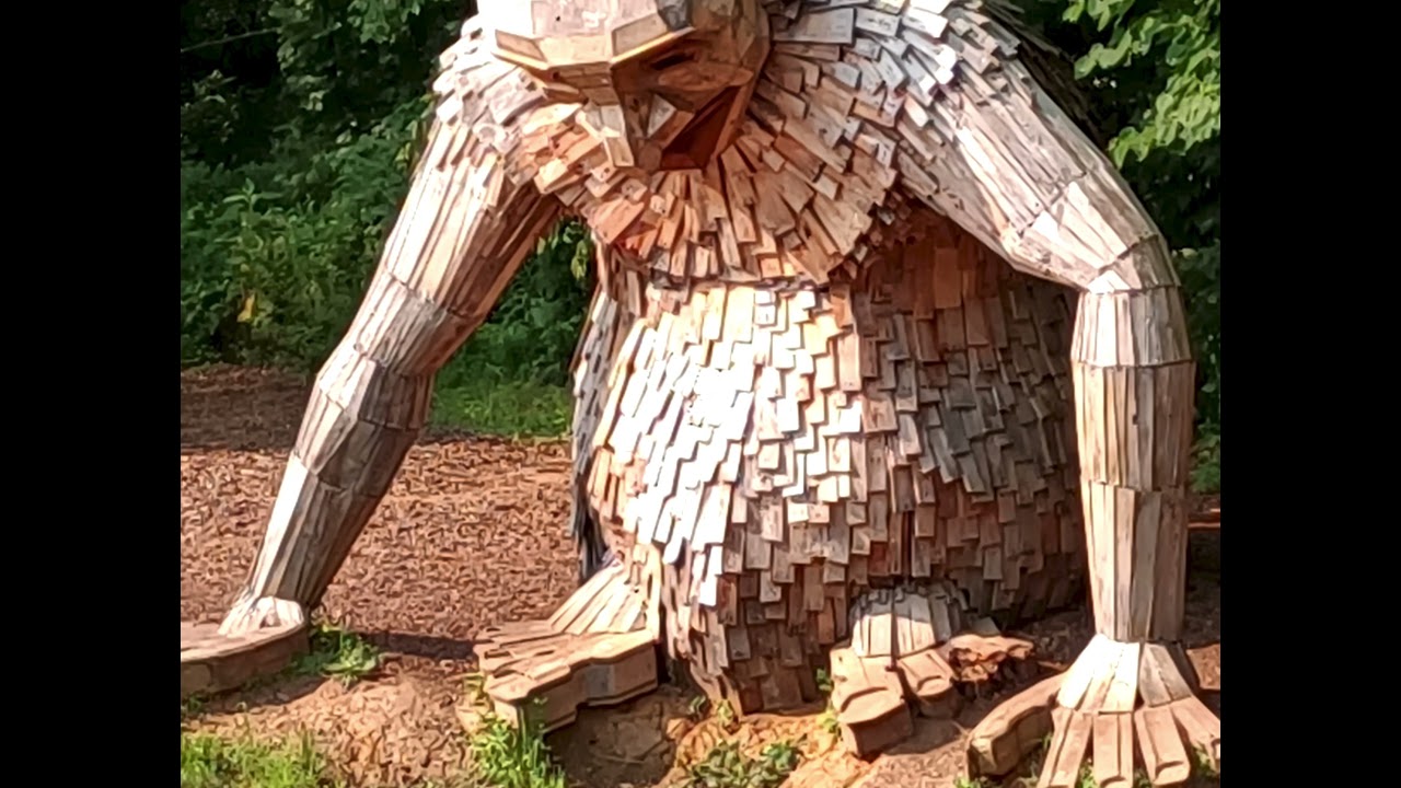 Bernheim Forest July 2021