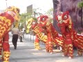 Dragoes Asiaticos