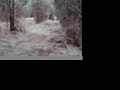 black magic trails secret location