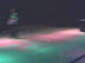 efectiv   o seara frumoasa  live in disco v i p 