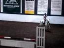 stainsby grange showjumping