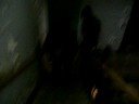 Abandoned warehouse stepped in shit