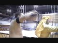 MCIW 12-19-2009 pt1 of2 Mathews vs Cousin Tiny.wmv