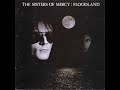 The Sisters of Mercy - Lucretia My Reflection (extended) The Sisters of Mercy - Lucretia My Reflection (extended)