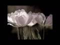 SENTIMENTE  -   DIRECTIA 5 ( Ambiental Cosmic )
