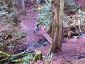 video3.mov Video