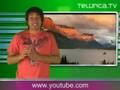Ecologia | Telurica 428