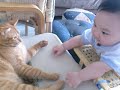 Baby%20Play%20With%20Cat%20And%20Laughing