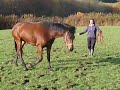 annie clarie 022.MOV