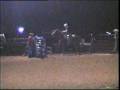 Roping Horse - Morse Roping Horse Roping Horse - Morse Roping Horse