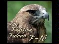 Bird of Prey - The NATO Falcon