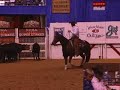 2008 Super Stakes Classic Open Champion