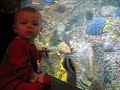 max at the zoo!