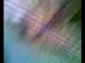 videos de python snack feeding 2