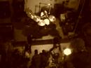 bloodhorse - 