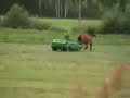 Pere?ki Polskiej Motoryzacji - Podlasie 2007