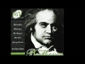 Beethoven Moonlight Sonata No. 14, Opus 27 No. 2 in C sharp minor, Part III by Tzvi Erez