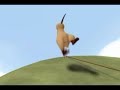 Puedes Volar Puedes Volar